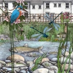 Good wildlife stream management