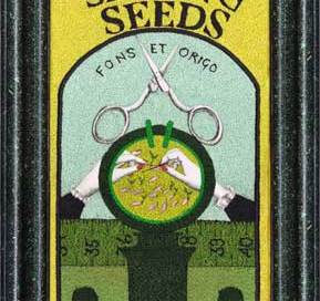 sewing seeds